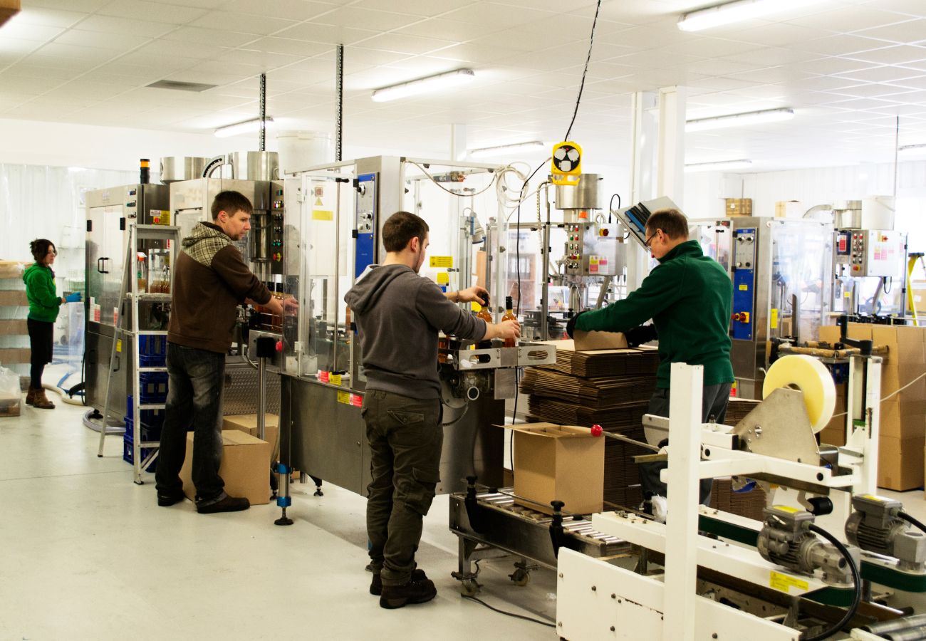 Trabajadores realizando un plan de formación en una fábrica de cartón.