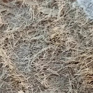 Curso de materias primas para envases plegables