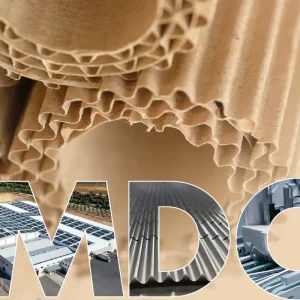 Máster en dirección para la industria del cartón