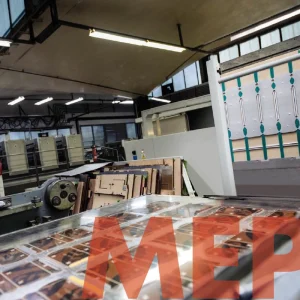 Máster en dirección para la industria del envase plegable